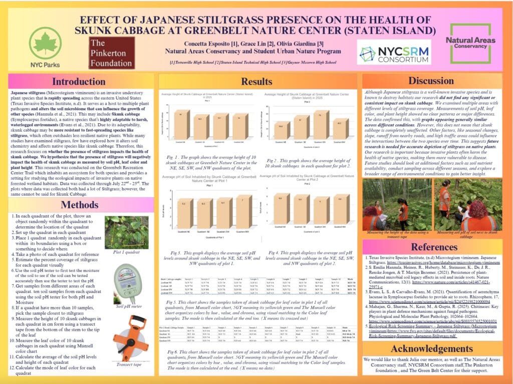 EFFECT OF JAPANESE STILTGRASS PRESENCE ON THE HEALTH OFSKUNK CABBAGE AT GREENBELT NATURE CENTER