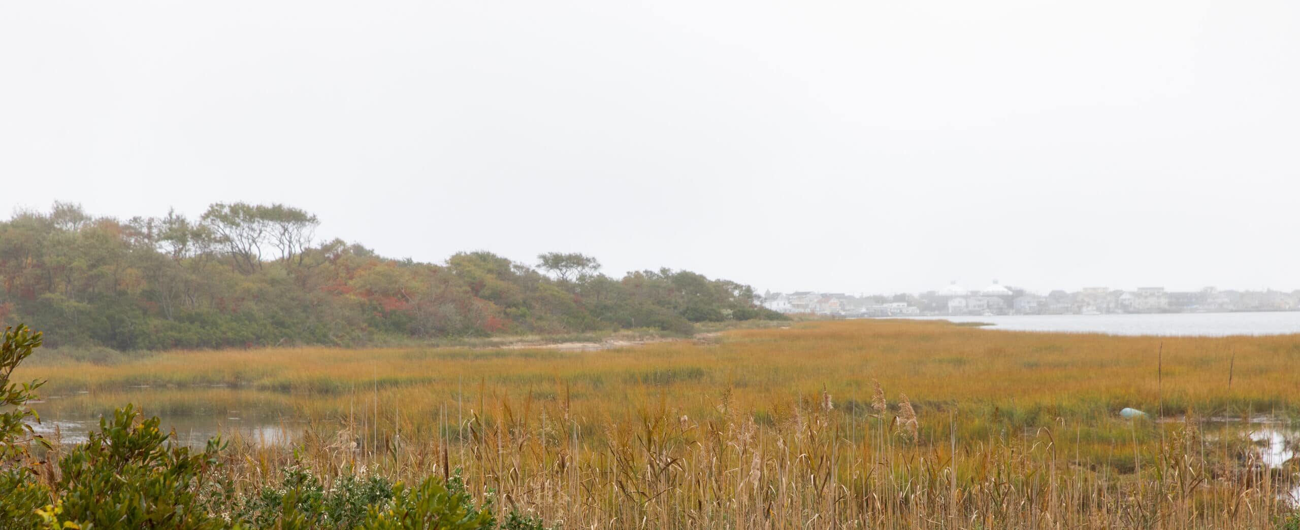 jamaica bay