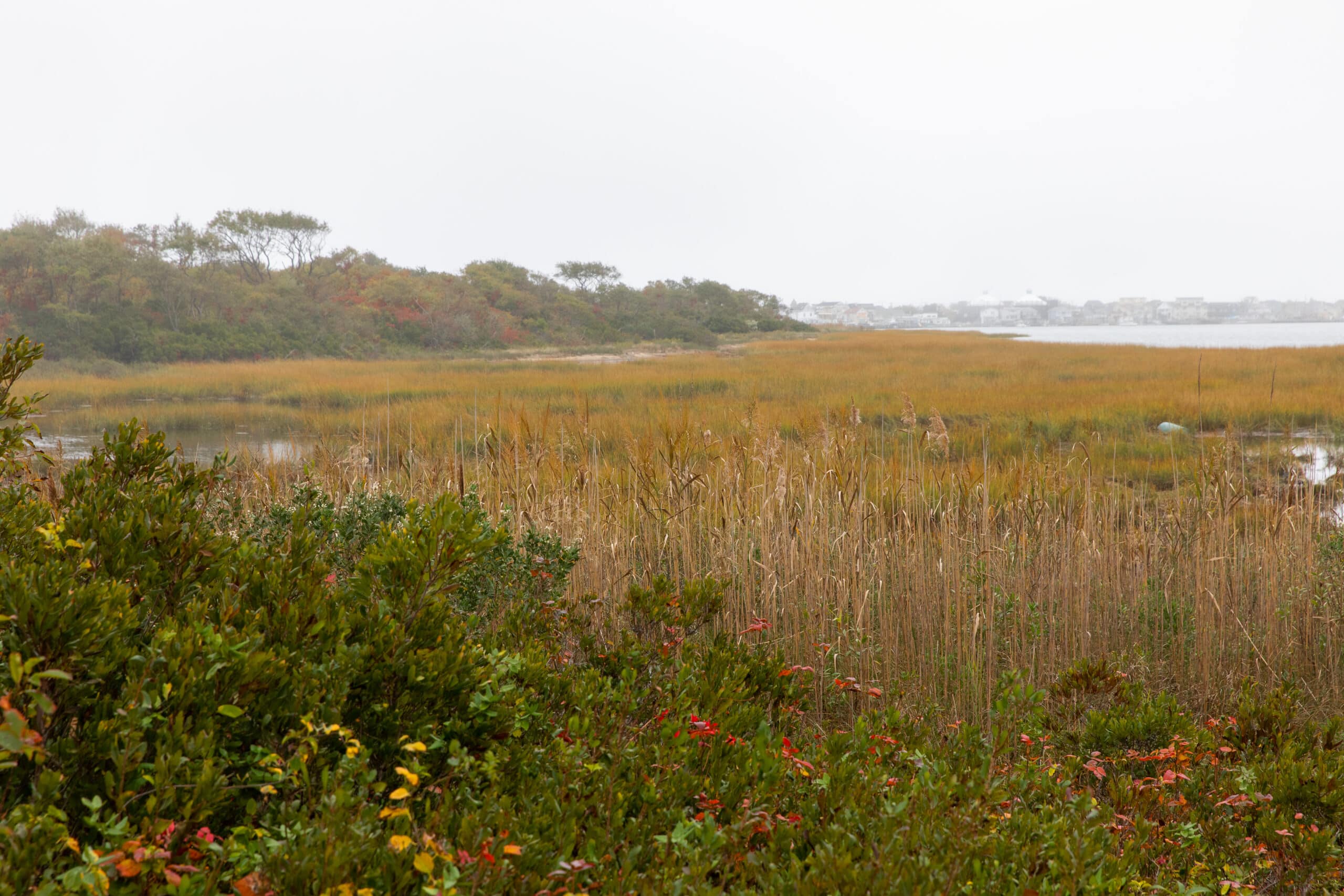 jamaica bay