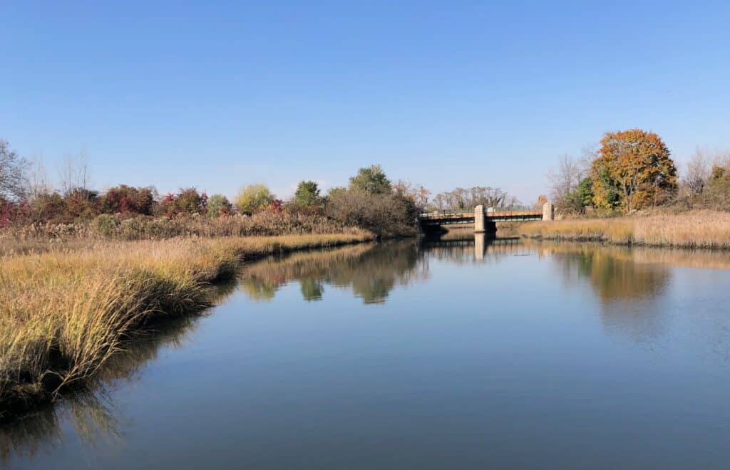alley creek