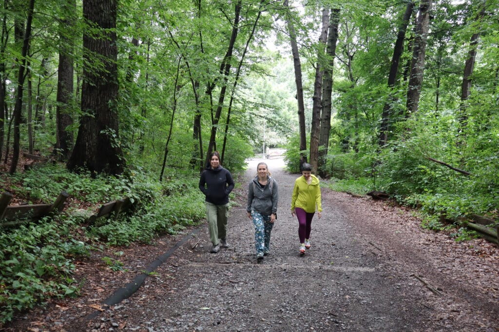 three people walking in forest