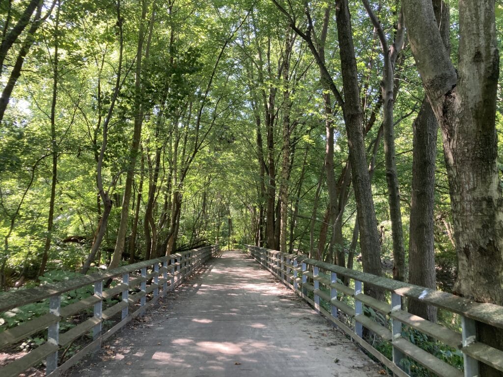 bronx park