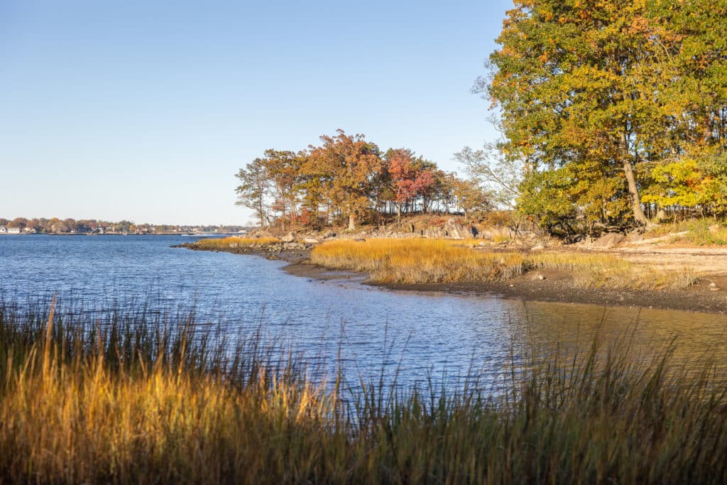 pelham bay fall