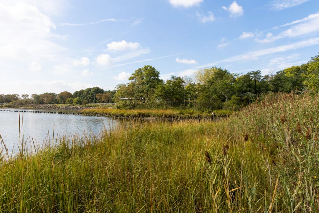marine park