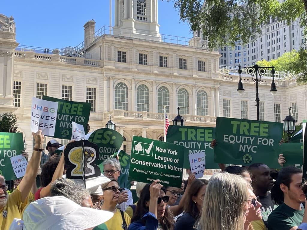 tree rally