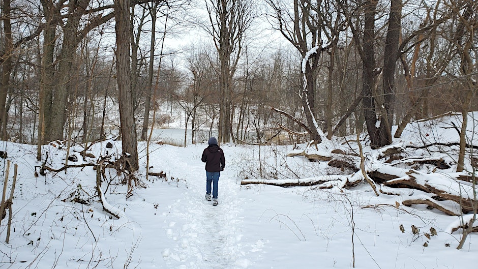 person walking in forest in snow