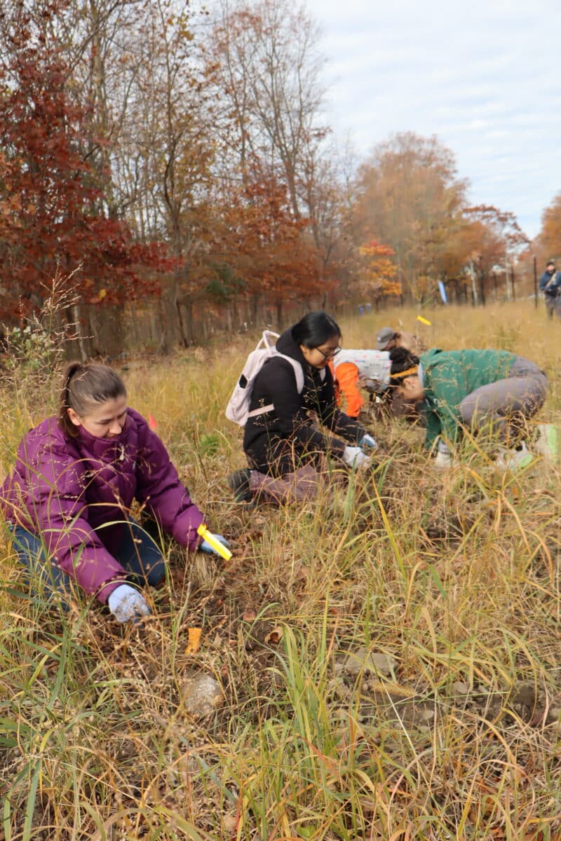 fellows planting trees