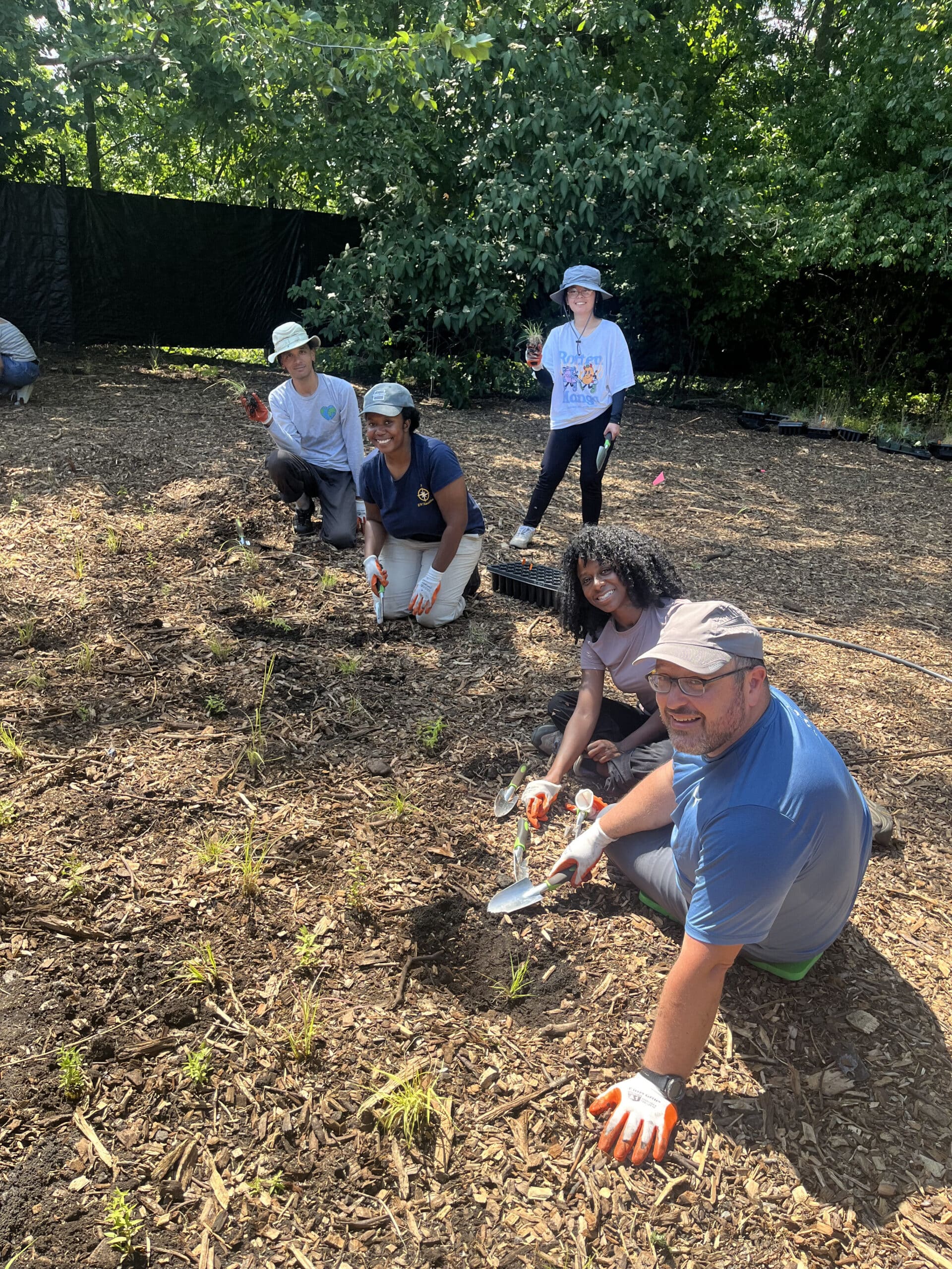 interns gardening