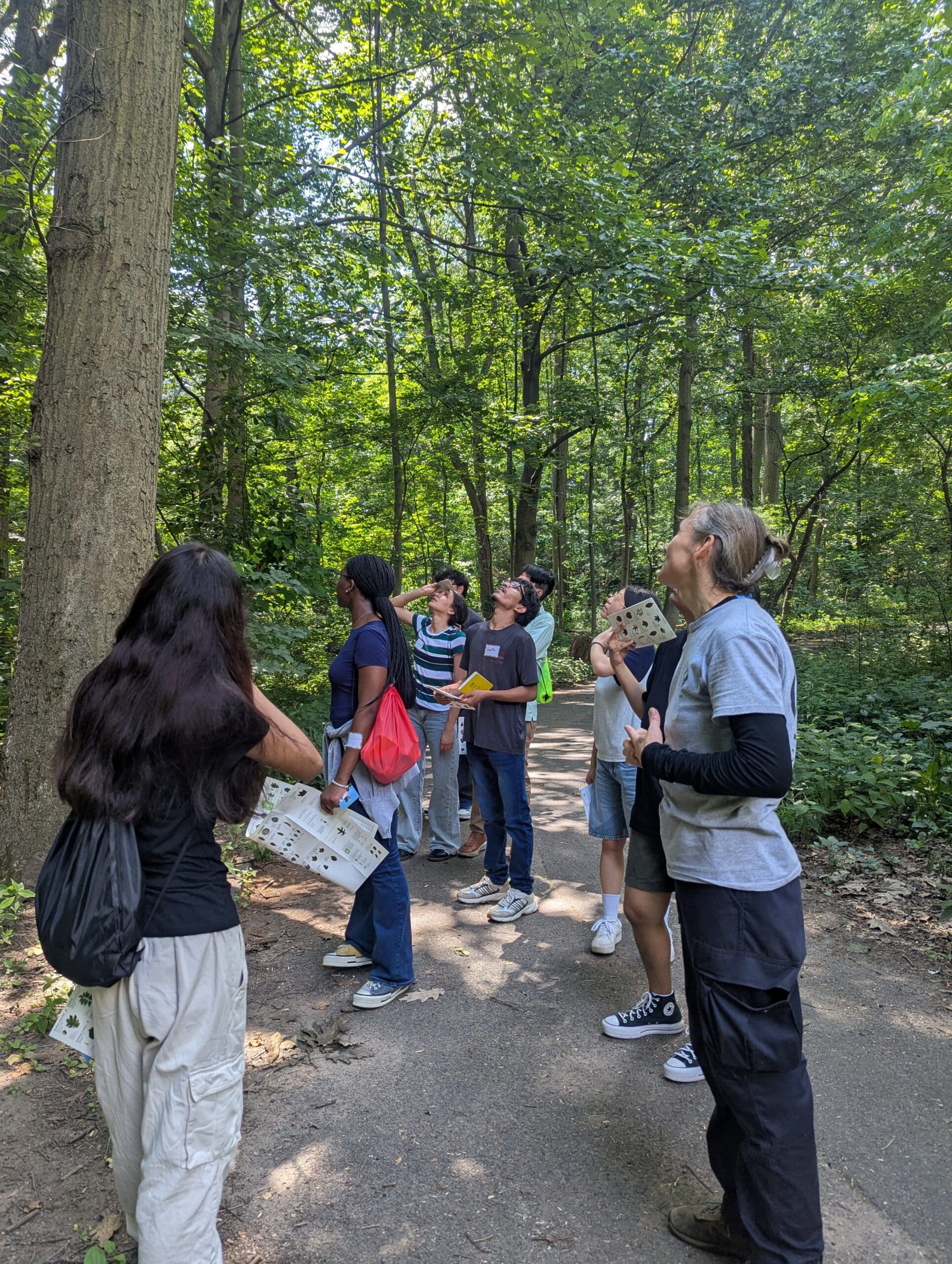 high school interns look at a tree