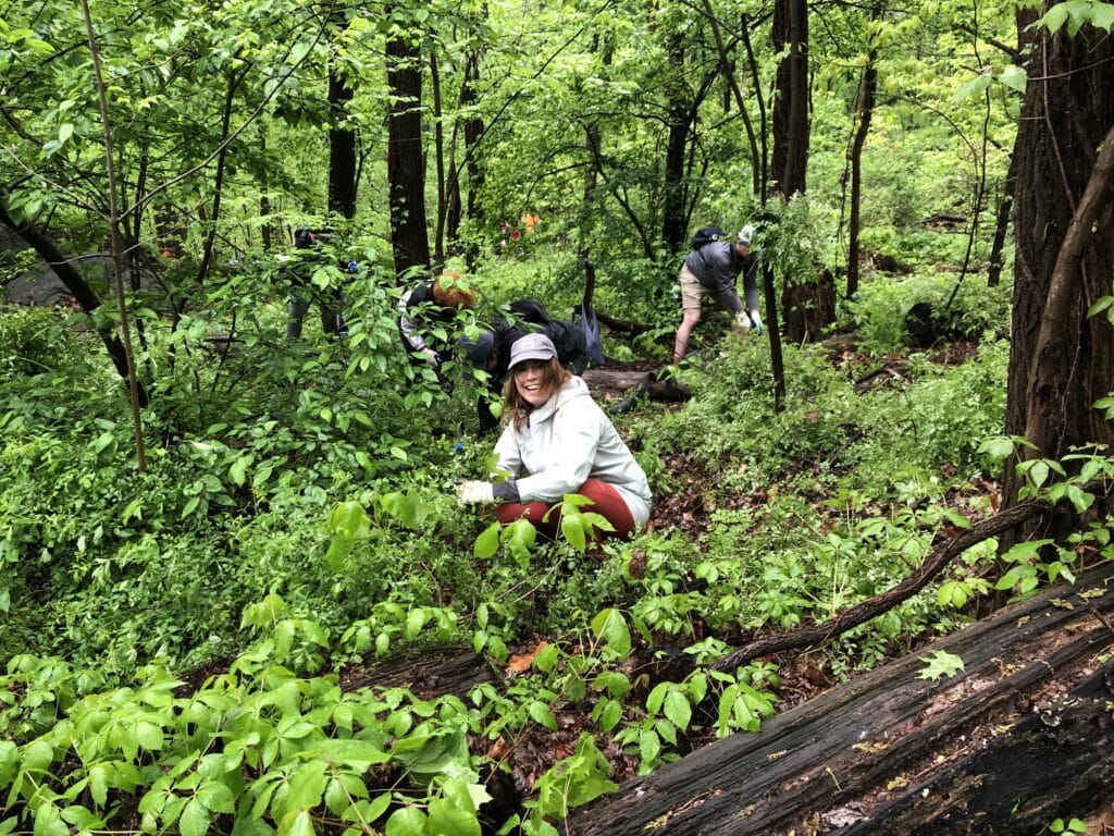 woman in forest
