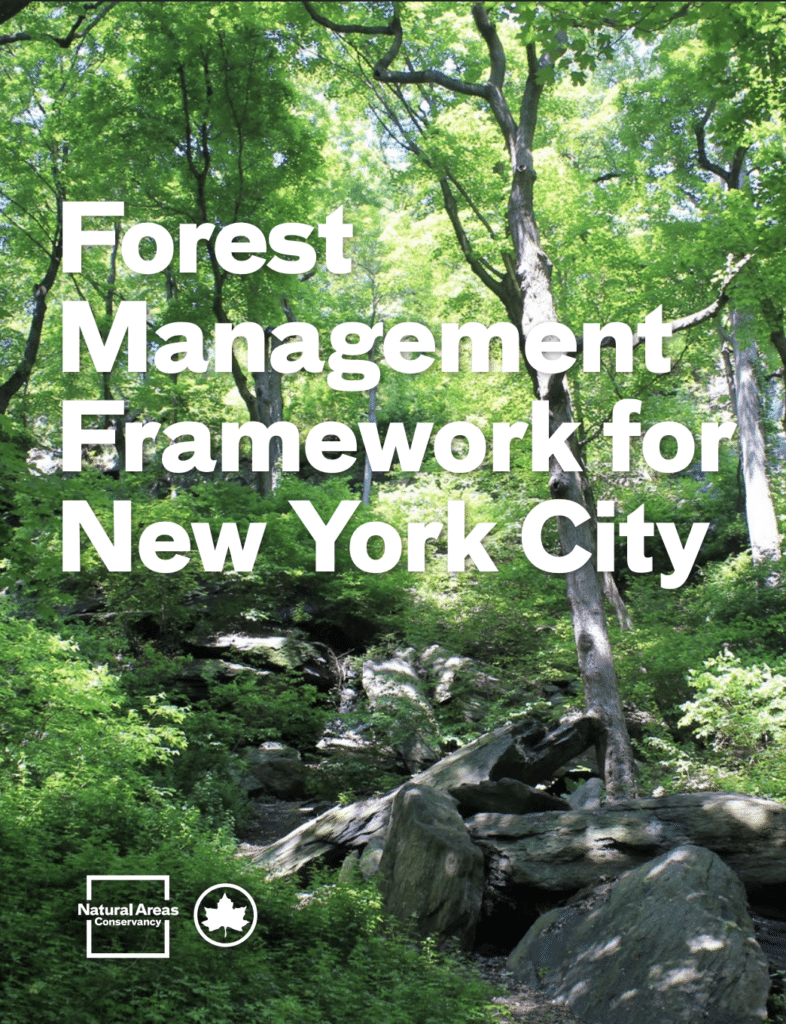 fmf cover page