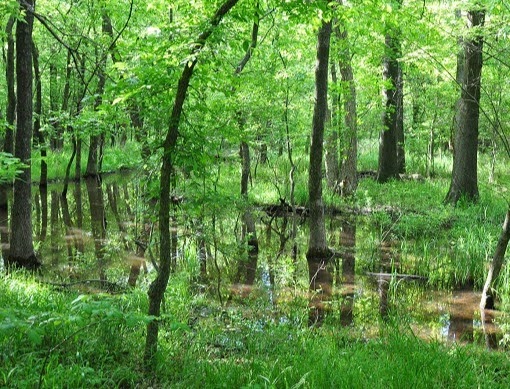 Mohawk Park (Photo from Visit Tulsa)